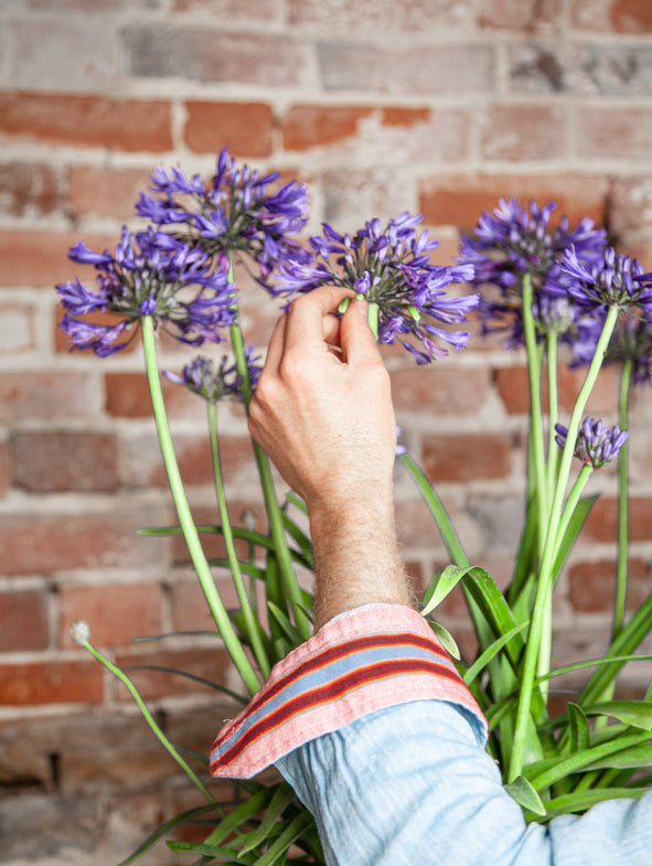 In the Garden With...Jimmy Scott, co-founder of Koy Clothing
